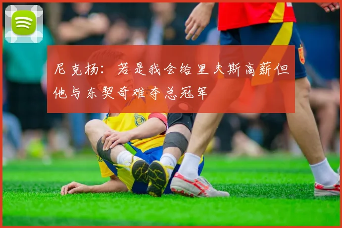 尼克杨：若是我会给里夫斯高薪但他与东契奇难夺总冠军